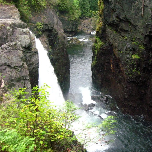 Elk Falls - Aura Lifestyle